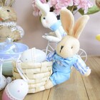 Coelho De Páscoa Azul Na Cestinha De Palha | Linha Páscoa For